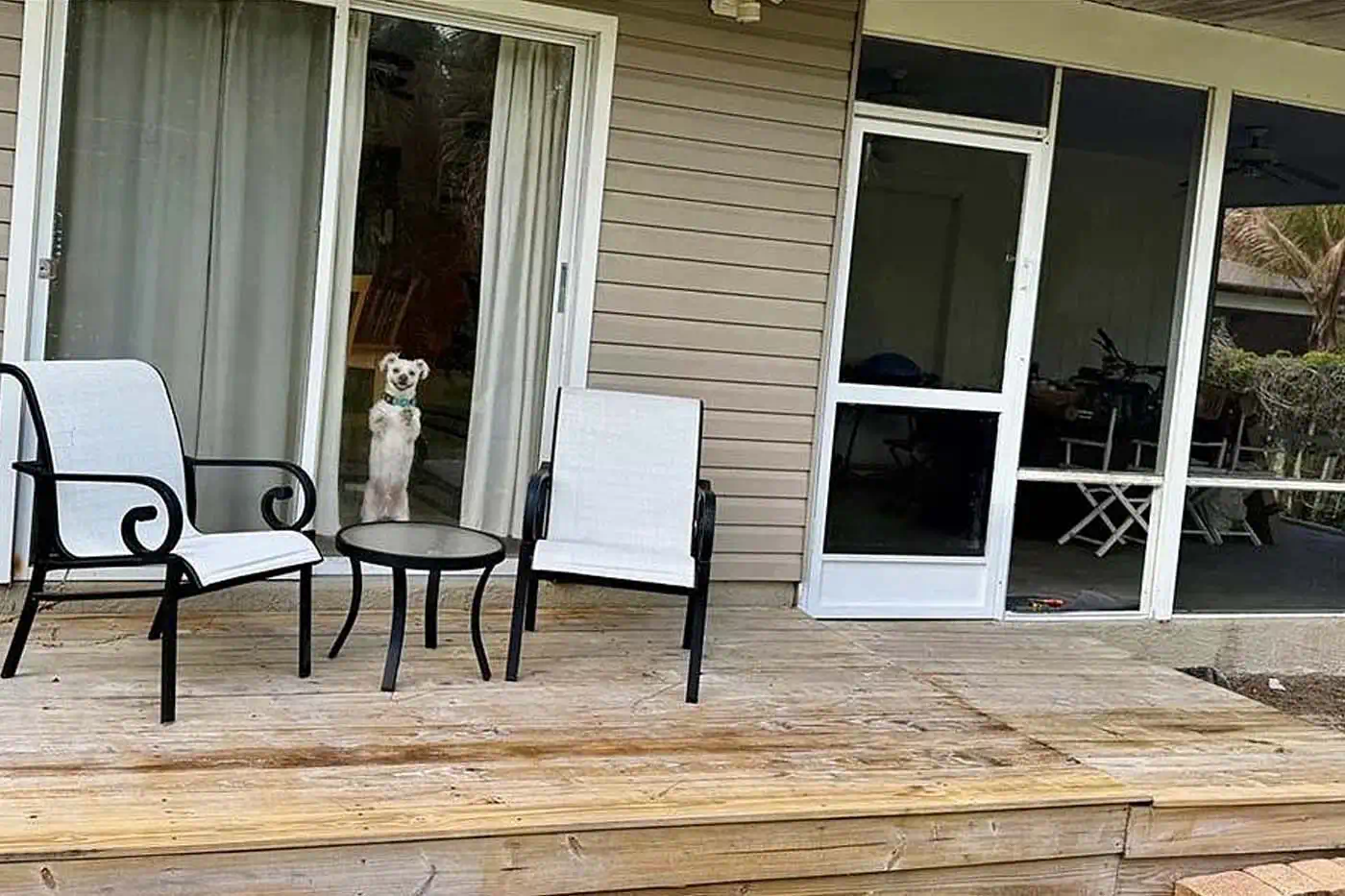 Back patio deck with seating area, sliding glass doors and outdoor living space at 5281 Teak Wood Drive, Logan Woods, Naples FL