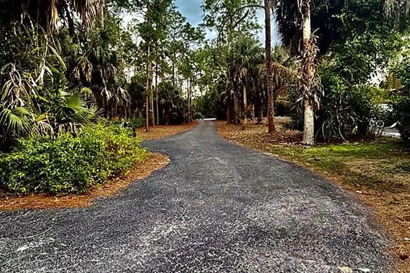Private driveway surrounded by mature trees and tropical landscaping at 5281 Teak Wood Drive, Logan Woods, Naples FL